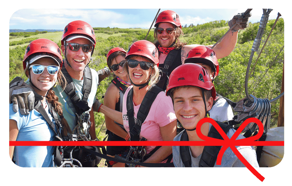 EDG November Sale Gift